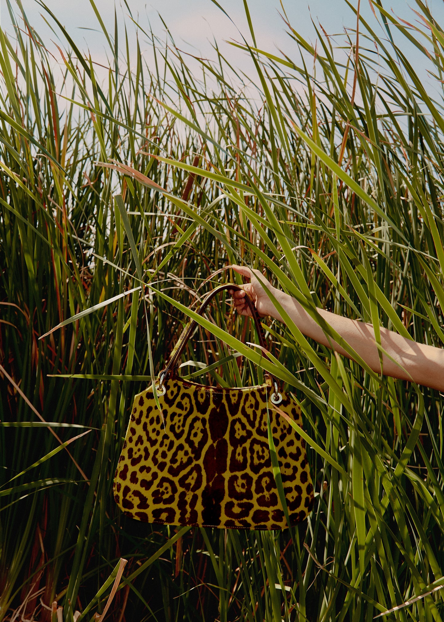 Bolso de leopardo amarillo en mitad de unas plantas