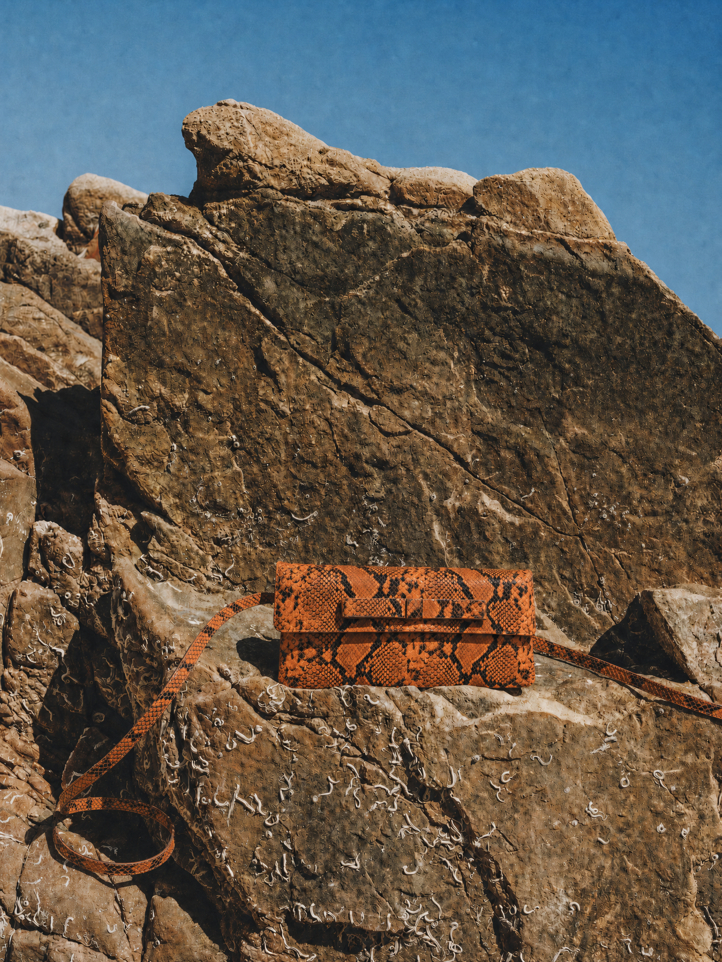Belén Orange Snake Leather Clutch