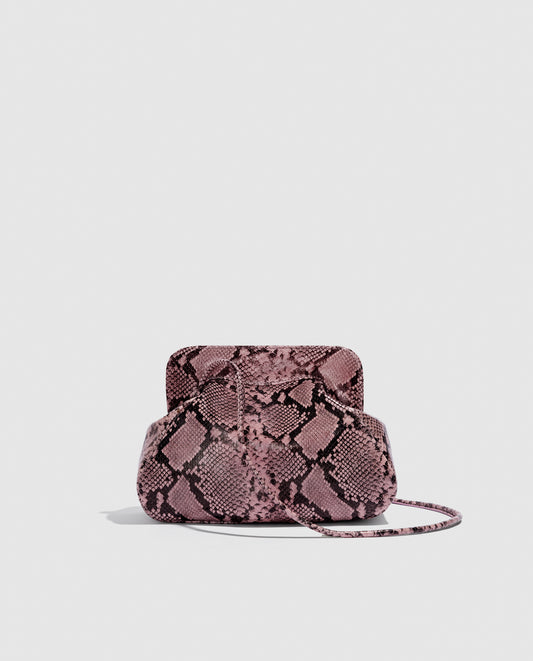 Constanza rosa_PRE FALL